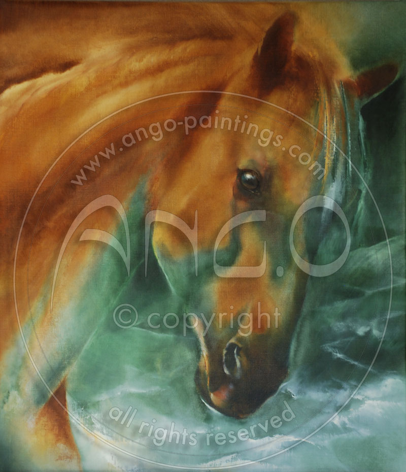 Wildlife paintings : Horse painting